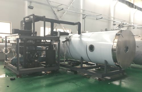 寵物食品凍干機(jī)在三文魚凍干加工中的應(yīng)用與礦物加工的影響