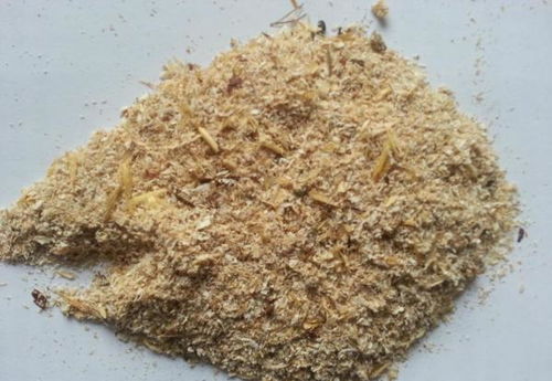 小麥麩皮與礦物加工 助力健康減肥的雙重優(yōu)勢